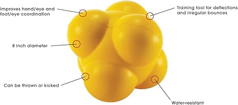 Agility Training Ball